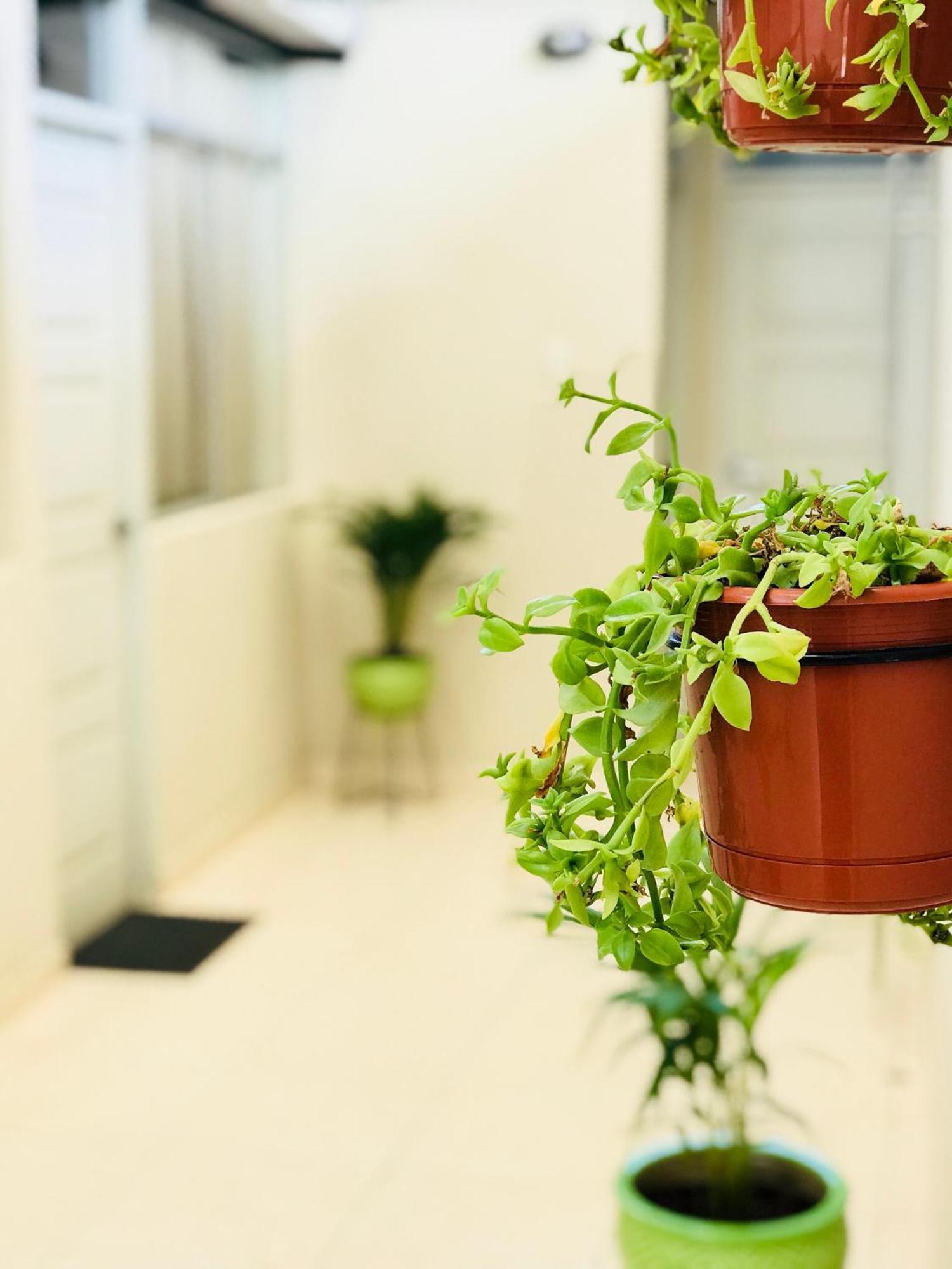 Garden House Piura Apartman Kültér fotó