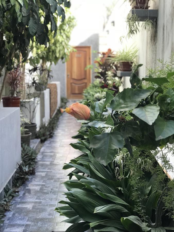 Garden House Piura Apartman Kültér fotó